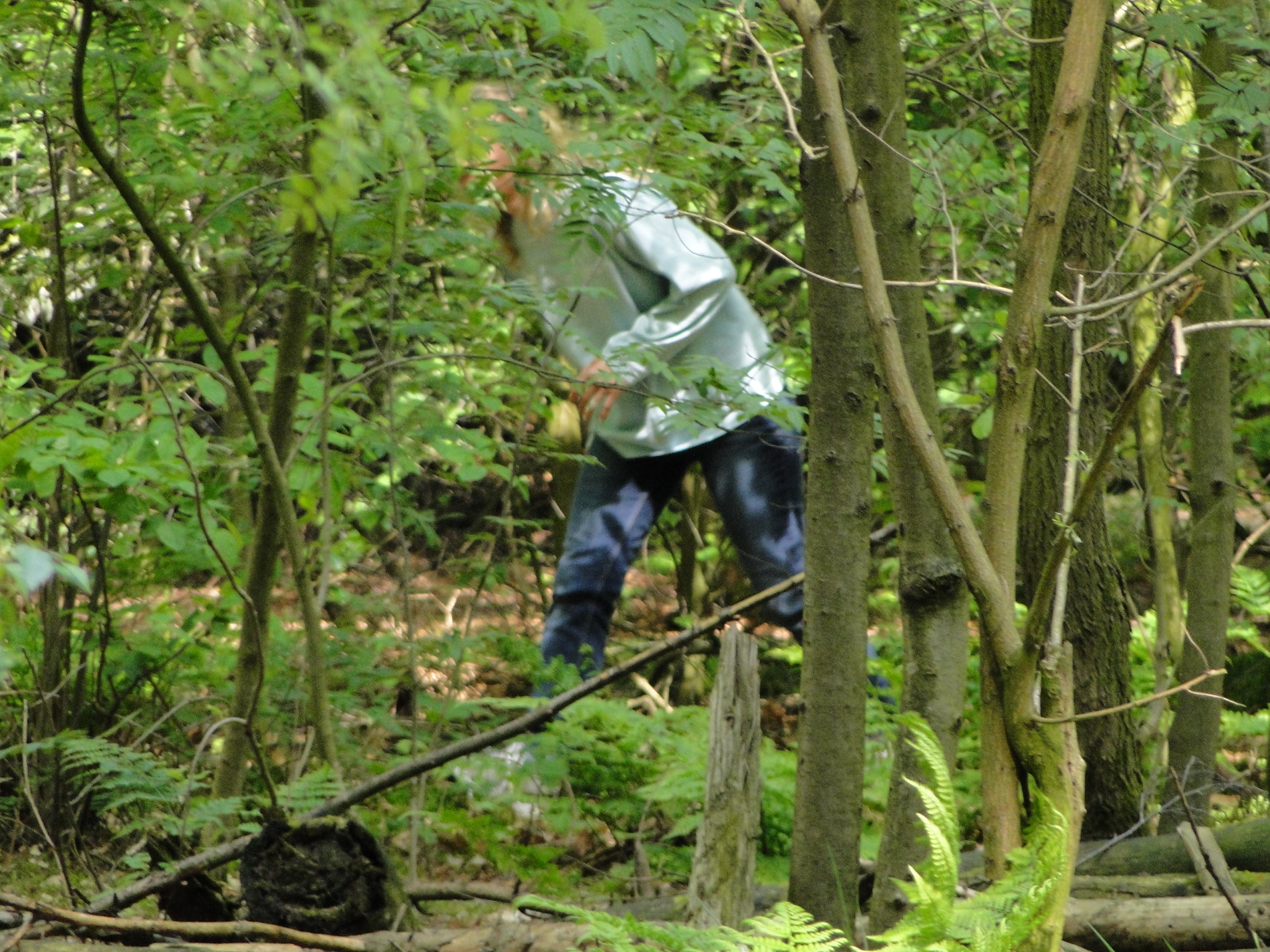 HWK 2012 098.jpg